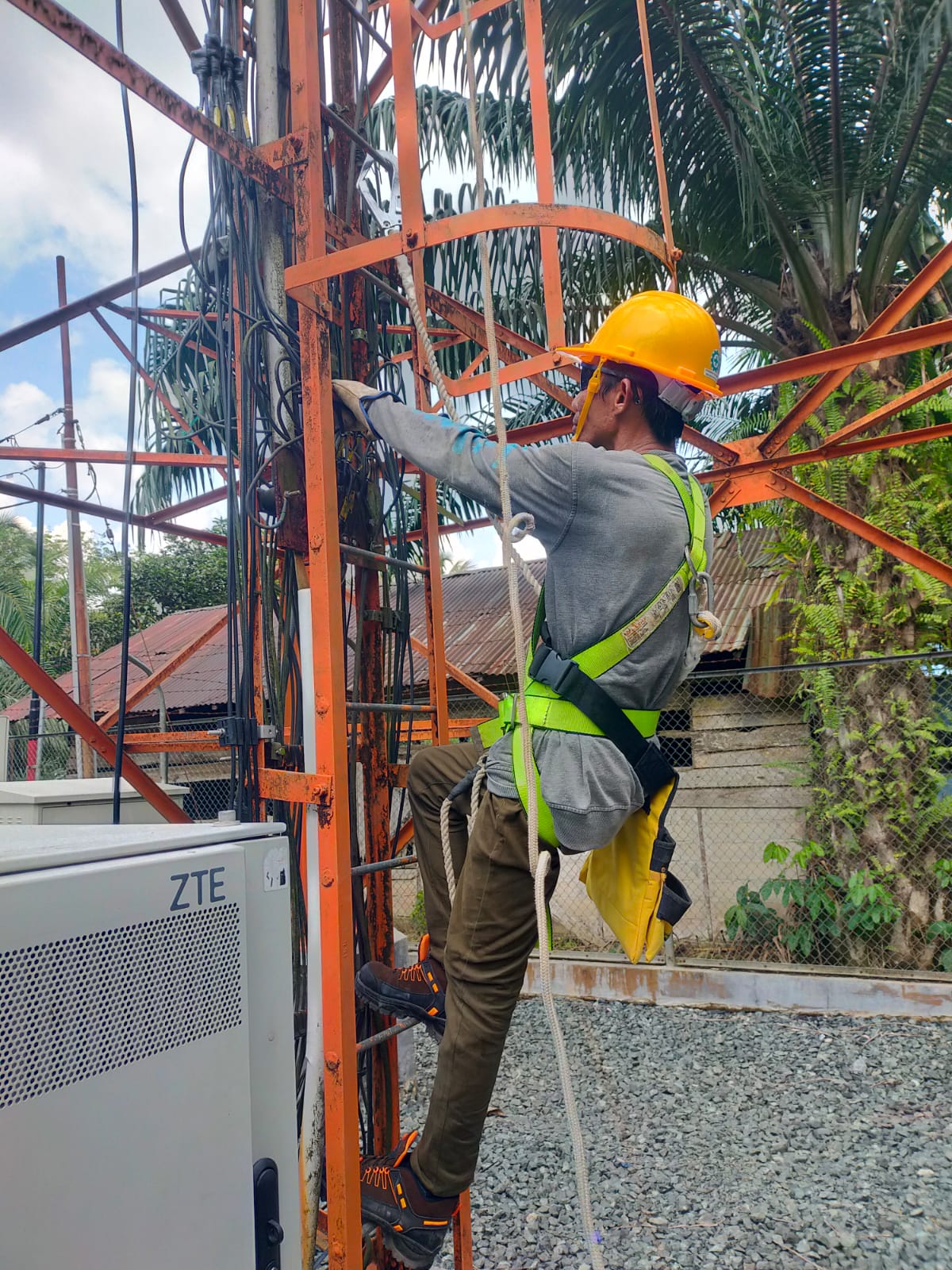 Close-up of multiple solar panels representing renewable energy and sustainability.
